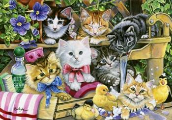 Bathtime Kittens | Obraz na stenu
