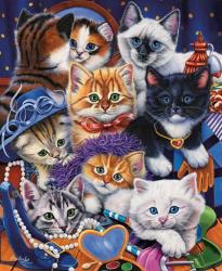 Kittens In Closet | Obraz na stenu