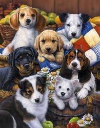 Country Bumpkin Puppies | Obraz na stenu