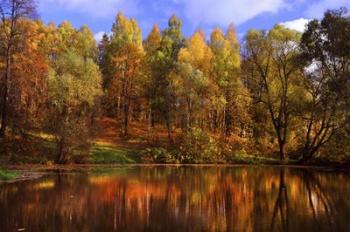 Autumn Reflections | Obraz na stenu