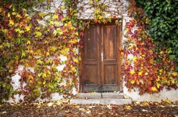 Autumn Wooden Doorway in Prague | Obraz na stenu