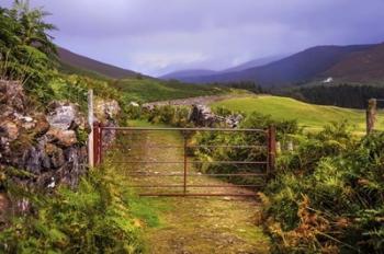 Gates on the Road at Wicklow Hills Ireland | Obraz na stenu