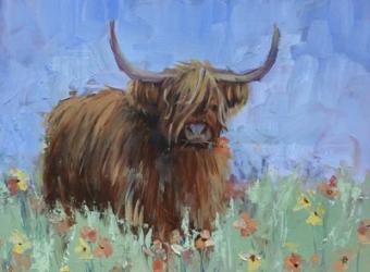 Scottish Highland Cow | Obraz na stenu