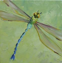 Dragonfly | Obraz na stenu