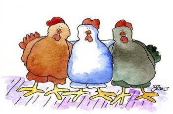Three Hens | Obraz na stenu