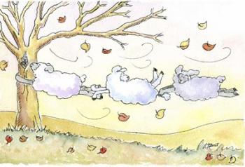 Three Sheep | Obraz na stenu