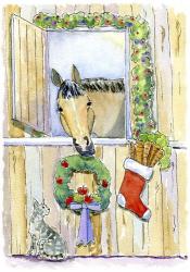 Horse Stocking | Obraz na stenu