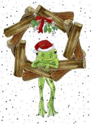 Santa Frog | Obraz na stenu