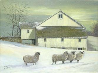 Sheep At Granough | Obraz na stenu