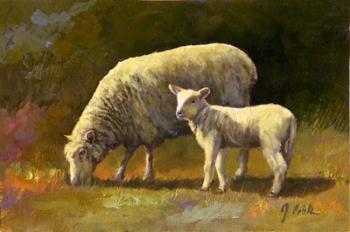 Spring Lamb | Obraz na stenu