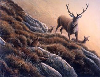Deer And Grouse | Obraz na stenu
