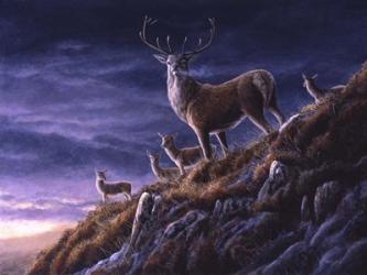 Threatening Sky Red Deer | Obraz na stenu