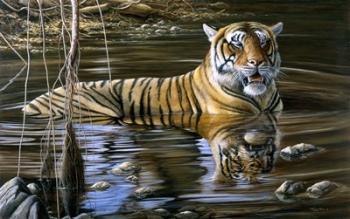 Cooling Off Bengal Tiger | Obraz na stenu