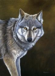 In The Eyes Of The Wolf | Obraz na stenu