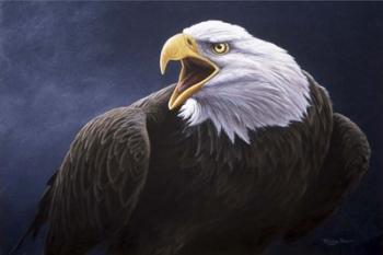 Cry Of The Eagle | Obraz na stenu