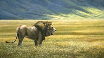 His Domain Lion | Obraz na stenu