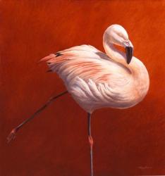 Flame Bird Flamingo | Obraz na stenu