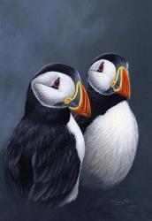 Puffins | Obraz na stenu