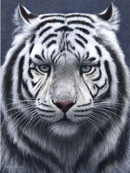 White Tiger Ghost | Obraz na stenu