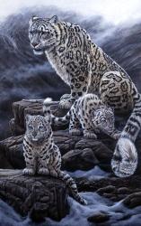 Mother & Cubs | Obraz na stenu