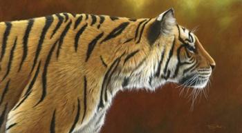 Tense Tiger | Obraz na stenu