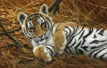 Tiger Cub | Obraz na stenu