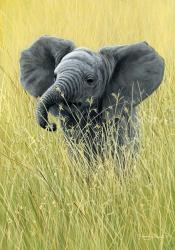 Elephant In The Grass | Obraz na stenu