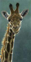 Giraffe Beauty | Obraz na stenu