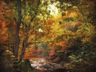 Autumn Stream | Obraz na stenu