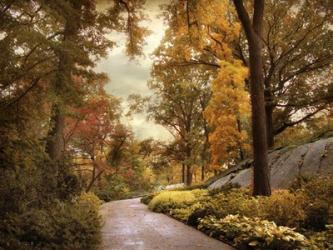 Azalea Garden in Autumn | Obraz na stenu