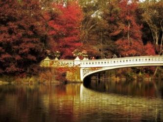 Fall at Bow Bridge | Obraz na stenu