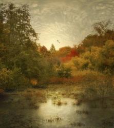 Autumn Wetlands | Obraz na stenu