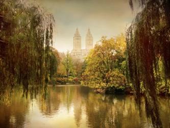 Central Park Splendor | Obraz na stenu