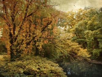 Gilded Autumn | Obraz na stenu