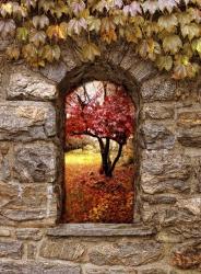 Window to Autumn | Obraz na stenu