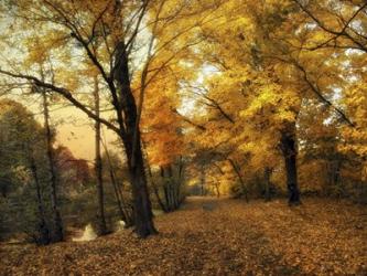 Golden Canopy | Obraz na stenu