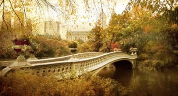 Autumn at Bow Bridge | Obraz na stenu