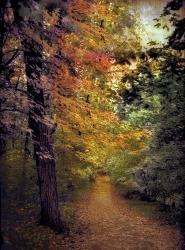 Autumn Trail | Obraz na stenu