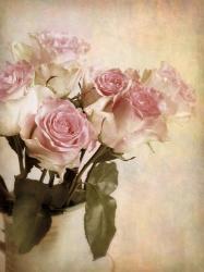 Pastel Roses | Obraz na stenu