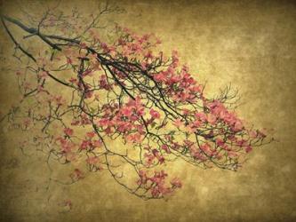 Asian Dogwood | Obraz na stenu