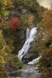 Ithaca Falls | Obraz na stenu