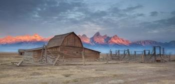 Mormon Row Sunrise 2 | Obraz na stenu