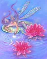 Water Lily Fairy | Obraz na stenu