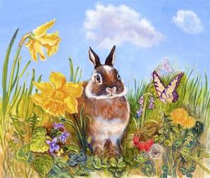Bunny In Meadow | Obraz na stenu