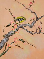 Bird In Cherry Tree | Obraz na stenu