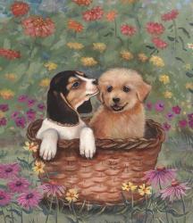 Beagle And Golden Retriever | Obraz na stenu