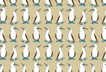 Blue Footed Booby | Obraz na stenu