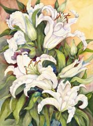 Lilies Basking in the Sun | Obraz na stenu