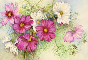 Pink and White Cosmos | Obraz na stenu