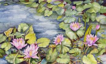 Lily Pond | Obraz na stenu